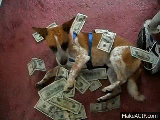 Dog Money GIF - Find & Share on GIPHY