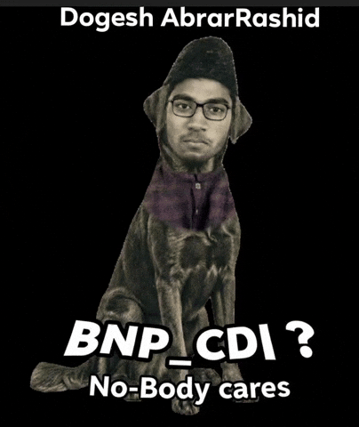 Bnp GIF