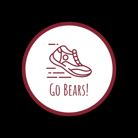 GIF by HIES Athletics