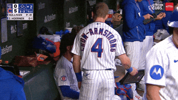 Chicago Cubs Smile GIF