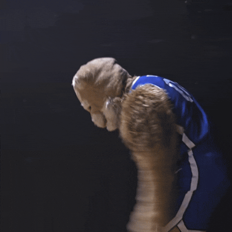 Basketball Byu GIF by Ore-Ida Potatoes