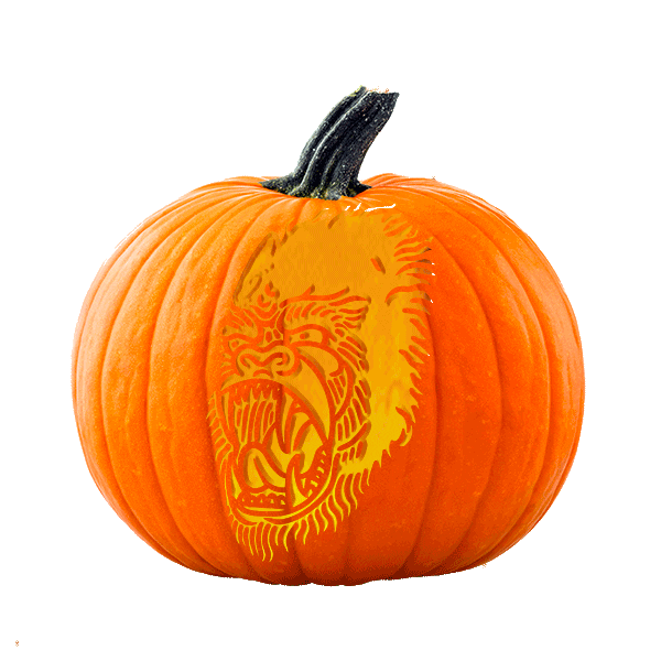 Fall Power Sticker by GorillaHemp