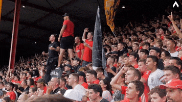 Goal Celebrating GIF by KV Kortrijk