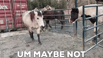 Go Away GIF