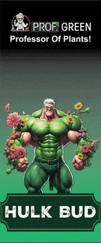 Dance Grow GIF by fenixmtx