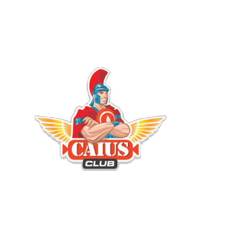 IMMERGAS RUSSIA Sticker