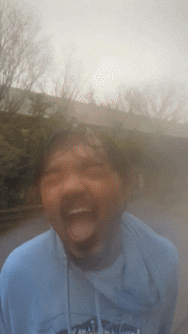 High School King GIF