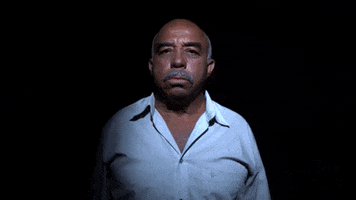 GIF by TV Gazeta