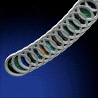 To The Moon Crypto GIF by Eco