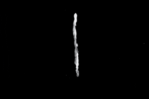 X Amount Records GIF
