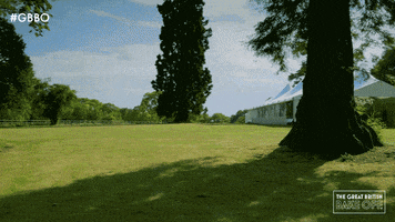 Bake Off Tent GIF by The Great British Bake Off
