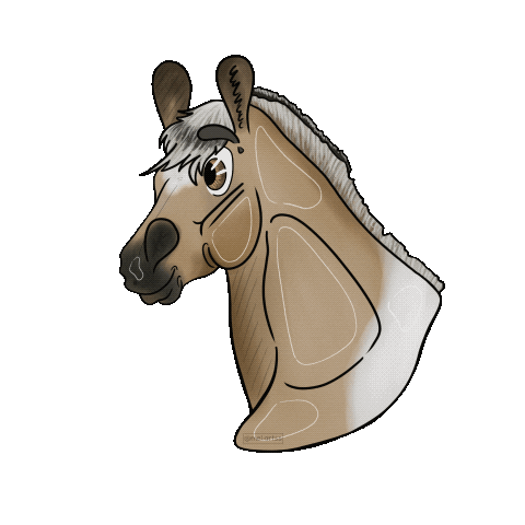 Horse Sticker