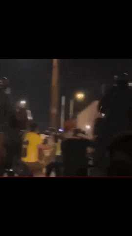 Jensen Horse GIF by Billy Jensen