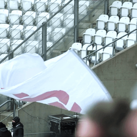 Flag Support GIF by LKS Lodz
