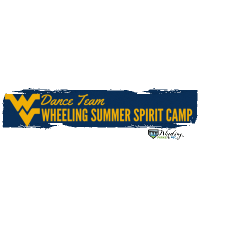 WVUDanceTeam Sticker