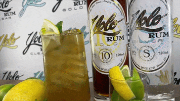 You Only Live Once Lets Have A Drink GIF by Yolo Rum