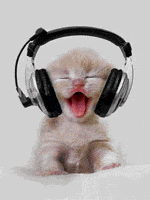 Happy Cat GIF