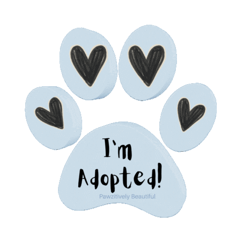 Cat Dog Sticker by Pawzitively Beautiful