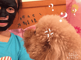 c2vszw5hbmfuyubob3rtywlslmnvbq  GIF