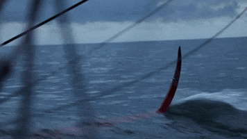 Charal Sailing Team GIF