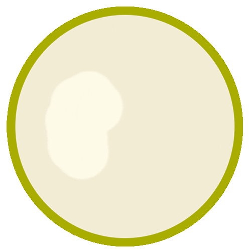 BareBra Sticker