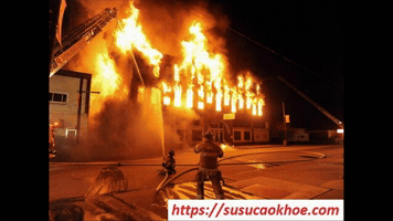 Susucaokhoe GIF