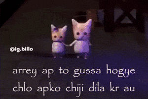 Cat Car GIF