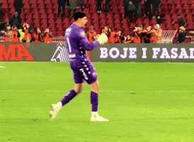 GIF by FK Crvena zvezda