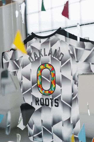 The Town Football GIF by Oakland Roots SC