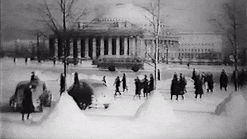 Novat GIF