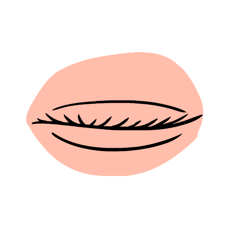 Eyes Sticker