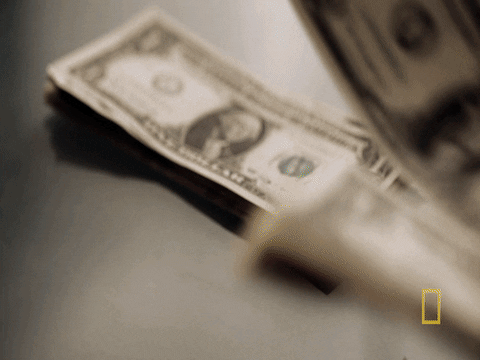 Stock Market Money GIF by National Geographic Channel - Find & Share on GIPHY