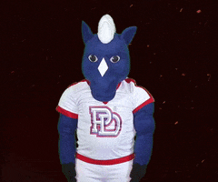 Football Touchdown GIF by Providence Day School