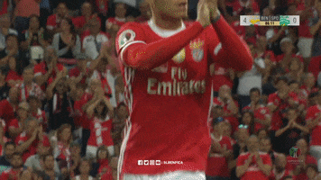 SL_Benfica clap clapping benfica slb GIF