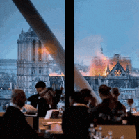 200.gif?cid=fc005b08a060e15d8000e115c8774d5fa53bdff56870a347&rid=200.gif&ct=g