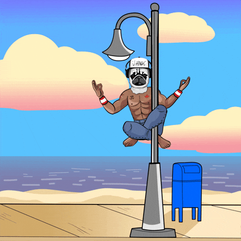 Pole Dance GIF by Pug Life Athletics®