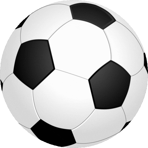 SKN St.Pölten Frauen Sticker