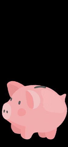 Piggy Bank GIFs - Find & Share on GIPHY