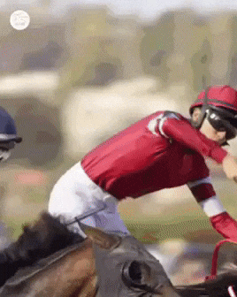 GIF by World Horse Racing