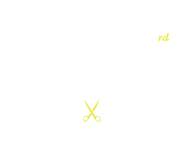 Hairstudio Hairdesign Sticker by 313 haircut