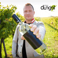 Weinbau GIF by Weingut Dungel