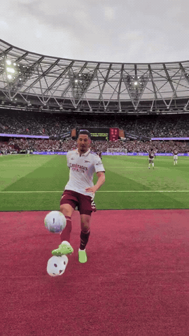 William Saliba GIF by memes