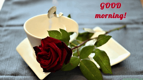 Good Morning Love Gif By Echilibrultau Find Share On Giphy
