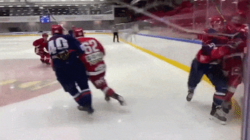 Rungsted Seier Capital GIF