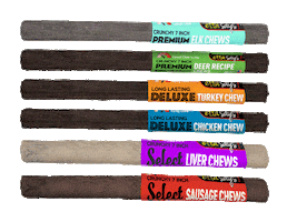 Treat Planet Sticker