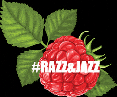 Razz & Jazz GIF