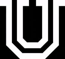 Uuathletics GIF by Union University