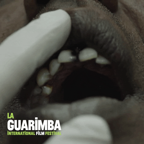 Horror Checking GIF by La Guarimba Film Festival
