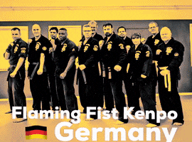 Martial Arts Fight GIF by Flaming Fist Kenpo Germany - empty hands e.V.