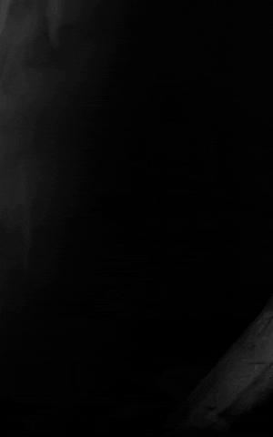 Zaaaa GIF